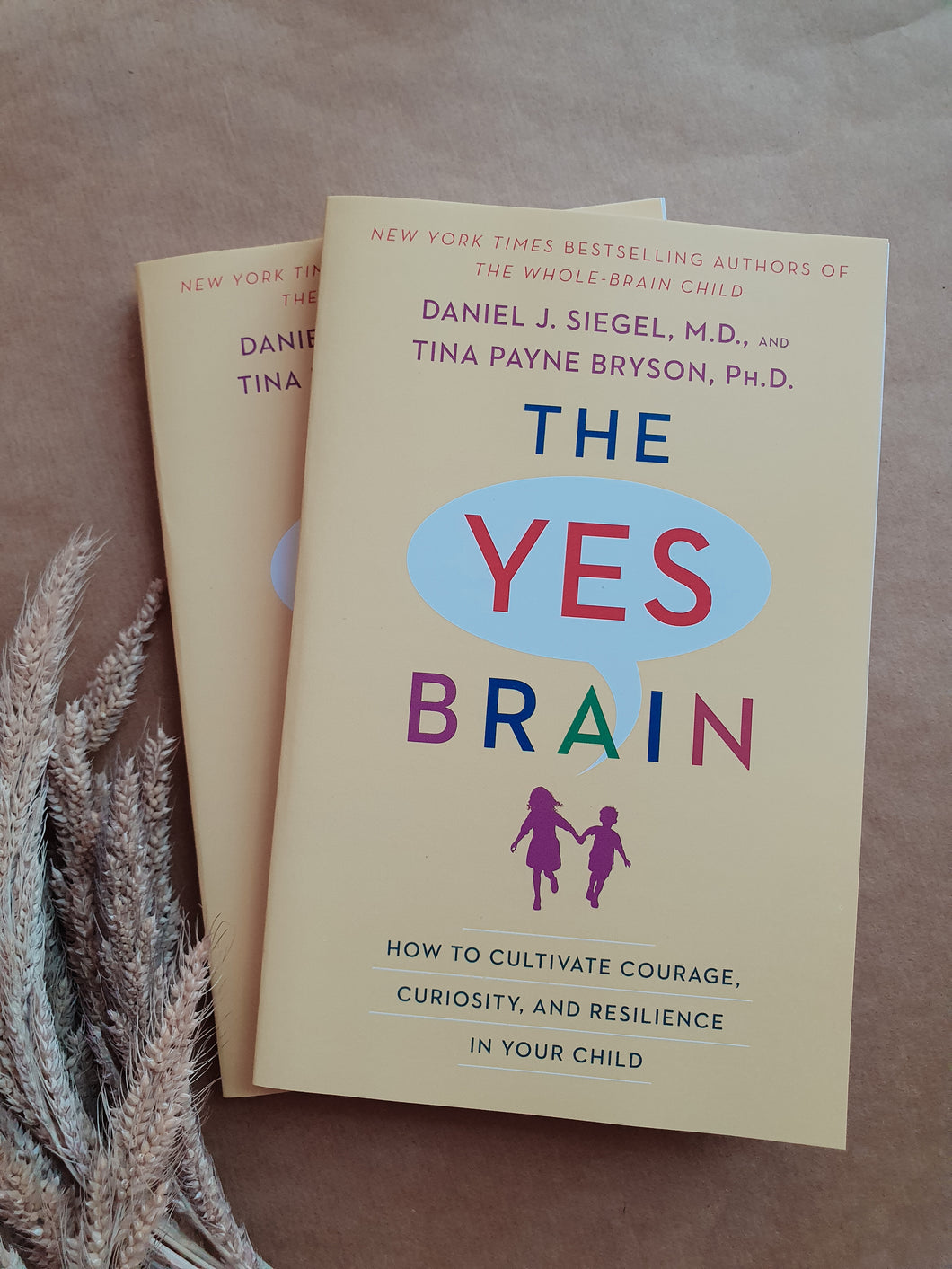 The Yes Brain: How to cultivate courage, curiosity, and residence in your child